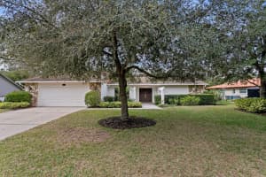 713 ROB ROY PLACE, TEMPLE TERRACE, FL 33617 - MLS#MFRTB8461015
