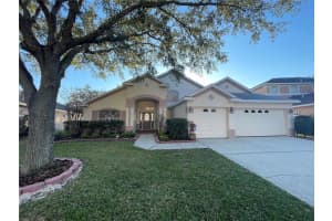 10205 QUAILS LANDING AVENUE, TAMPA, FL 33647 - MLS#MFRTB8461030