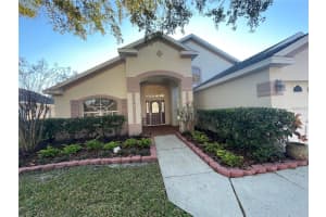 10205 QUAILS LANDING AVENUE, TAMPA, FL 33647 - MLS#MFRTB8461030