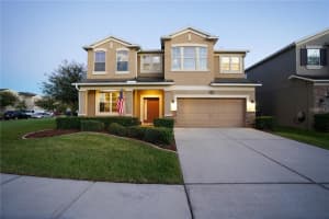 10663 Pictorial Park Dr, TAMPA