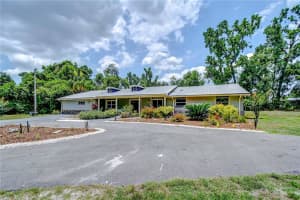 1931 JAUDON ROAD, DOVER, FL 33527 - MLS#MFRTB8461076
