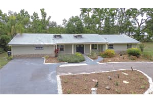 1931 JAUDON ROAD, DOVER, FL 33527 - MLS#MFRTB8461076