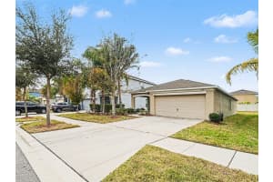 17207 BEACH BUTTERCUP PLACE, WIMAUMA, FL 33598 - MLS#MFRTB8461109
