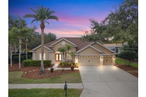 3685 Julienne Way, PALM HARBOR