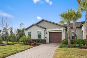 16803 Forge Surf St, LAND O LAKES
