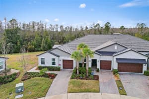16803 FORGE SURF STREET, LAND O LAKES, FL 34638 - MLS#MFRTB8461136