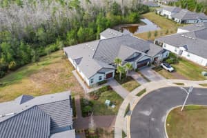 16803 FORGE SURF STREET, LAND O LAKES, FL 34638 - MLS#MFRTB8461136