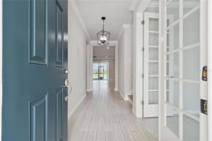 19780 BLUE POND DRIVE, LUTZ, FL 33558 - MLS#MFRTB8461142