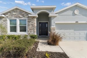 10702 LAXER CAY LOOP, SAN ANTONIO, FL 33576 - MLS#MFRTB8461156