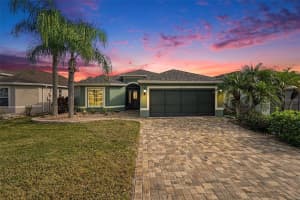 29318 SNAP HOOK DRIVE, SAN ANTONIO, FL 33576 - MLS#MFRTB8461165