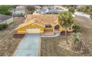 1093 DUNLAP AVENUE, SPRING HILL, FL 34609 - MLS#MFRTB8461170