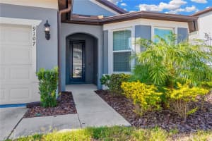 9107 RALLY SPRING LOOP, WESLEY CHAPEL, FL 33545 - MLS#MFRTB8461200