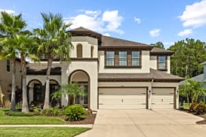 8414 EAGLE BROOK DRIVE, LAND O LAKES, FL 34638 - MLS#MFRTB8461224