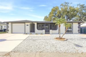 9821 LAKESIDE LANE, PORT RICHEY, FL 34668 - MLS#MFRTB8461230