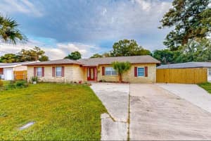 6223 Travis Blvd, TAMPA