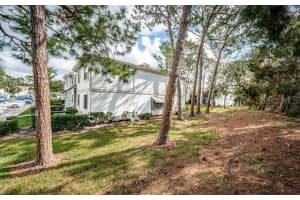416 MEADOW LANE, OLDSMAR, FL 34677 - MLS#MFRTB8461237