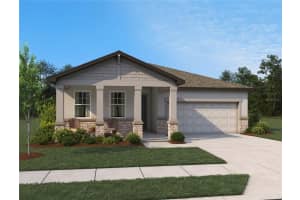 10163 Hidden Hammock Loop, PARRISH