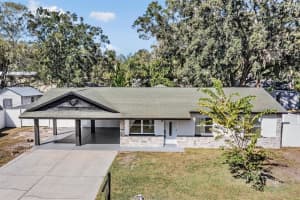 1413 MAY STREET, LUTZ, FL 33548 - MLS#MFRTB8461254