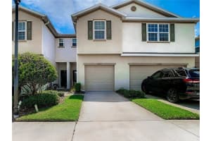4907 WHITE SANDERLING COURT, TAMPA, FL 33619 - MLS#MFRTB8461262