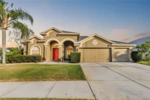 11709 Stonewood Gate Dr, RIVERVIEW