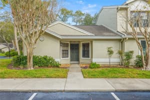 5100 Burchette Rd #300, TAMPA