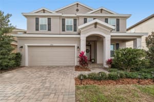 17738 EVERLONG DRIVE, LAND O LAKES, FL 34638 - MLS#MFRTB8461340
