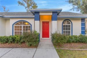 601 PARSONS RESERVE COURT, SEFFNER, FL 33584 - MLS#MFRTB8461344