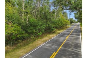 CENTENNIAL RD, DADE CITY, FL 33525 - MLS#MFRTB8461360