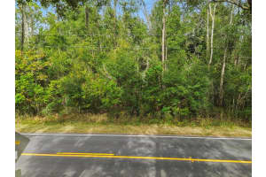 CENTENNIAL RD, DADE CITY, FL 33525 - MLS#MFRTB8461360