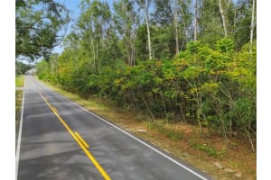 CENTENNIAL RD, DADE CITY, FL 33525 - MLS#MFRTB8461360