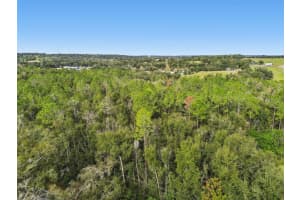 CENTENNIAL RD, DADE CITY, FL 33525 - MLS#MFRTB8461360