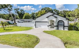 8905 HAMILTON AVENUE, TAMPA, FL 33615 - MLS#MFRTB8461412
