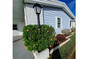 116 MAPLE LEAF DRIVE, PALM HARBOR, FL 34684 - MLS#MFRTB8461451