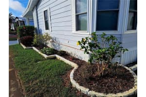 116 MAPLE LEAF DRIVE, PALM HARBOR, FL 34684 - MLS#MFRTB8461451