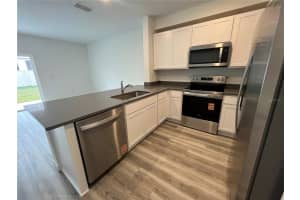 31306 PAPER BIRCH STREET, WESLEY CHAPEL, FL 33545 - MLS#MFRTB8461458