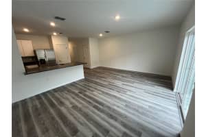 31306 PAPER BIRCH STREET, WESLEY CHAPEL, FL 33545 - MLS#MFRTB8461458