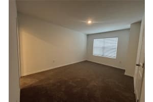 31306 PAPER BIRCH STREET, WESLEY CHAPEL, FL 33545 - MLS#MFRTB8461458