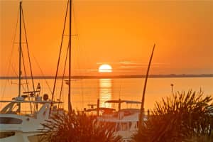 5905 BEACON SHORES STREET, TAMPA, FL 33616 - MLS#MFRTB8461468