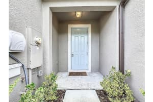 8069 ROLLING SHELL TRAIL, WESLEY CHAPEL, FL 33545 - MLS#MFRTB8461504