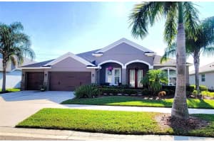 13631 Artesa Bell Dr, RIVERVIEW