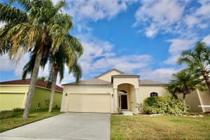 24421 BREEZY OAK COURT, LUTZ, FL 33559 - MLS#MFRTB8461513