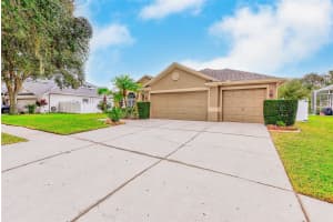 5516 GARDEN ARBOR DRIVE, LUTZ, FL 33558 - MLS#MFRTB8461544