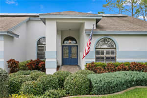 11206 POCKET BROOK, TAMPA, FL 33635 - MLS#MFRTB8461579