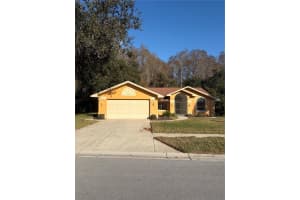 1716 PERCHERON DRIVE, TRINITY, FL 34655 - MLS#MFRTB8461597