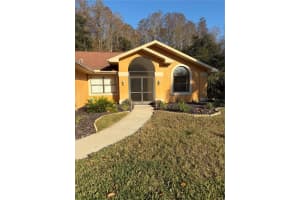 1716 PERCHERON DRIVE, TRINITY, FL 34655 - MLS#MFRTB8461597