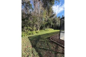 1716 PERCHERON DRIVE, TRINITY, FL 34655 - MLS#MFRTB8461597