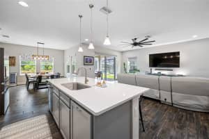 4633 BALLANTRAE BOULEVARD, LAND O LAKES, FL 34638 - MLS#MFRTB8461617