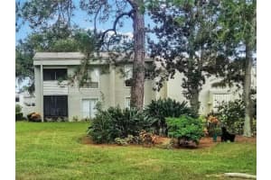 616 WINDRUSH BAY DRIVE, TARPON SPRINGS, FL 34689 - MLS#MFRTB8461625