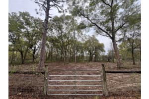 15574 ROCKINGHAM LANE, SPRING HILL, FL 34610 - MLS#MFRTB8461635