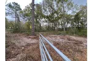 15574 ROCKINGHAM LANE, SPRING HILL, FL 34610 - MLS#MFRTB8461635